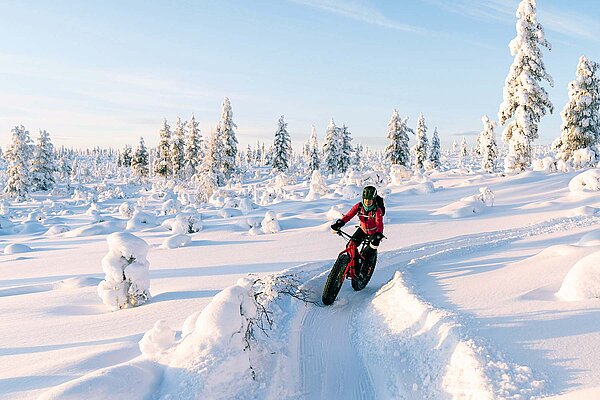 Eine Person fährt mit dem Fatbike durch den Schnee.