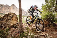 Ein Mountainbiker fährt auf einem Biketrail.