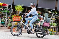Eine Frau fährt auf einem Longtail-Bike mit Kindern.