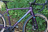 Ein Fahrrad steht vor einem grünen Busch