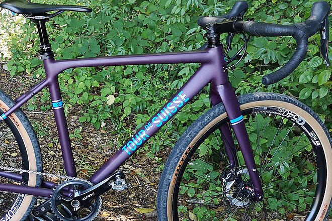 Ein Fahrrad steht vor einem grünen Busch