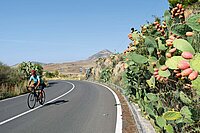 Mit dem Fahrrad rund um Italien. Rennradfahrerin auf einer Strasse.